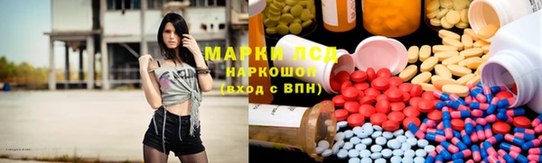 альфа пвп Новодвинск