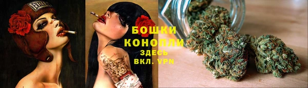 альфа пвп Новодвинск