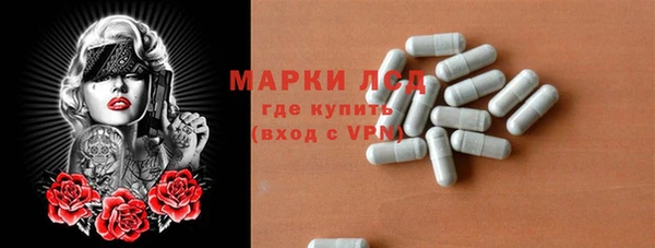 индика Нея