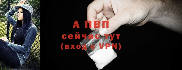 индика Нея