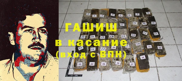 индика Нея