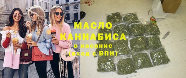 индика Нея