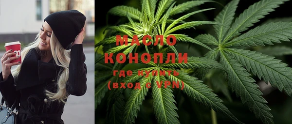 индика Нея