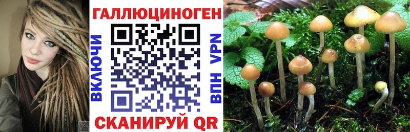 Галлюциногенные грибы Cubensis Костерёво